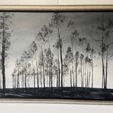 Framed Oil Painting on Canvas by Artist Painter C. M. Ollivierre