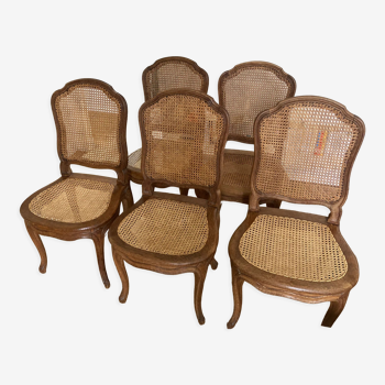 Set of 5 tanned chairs