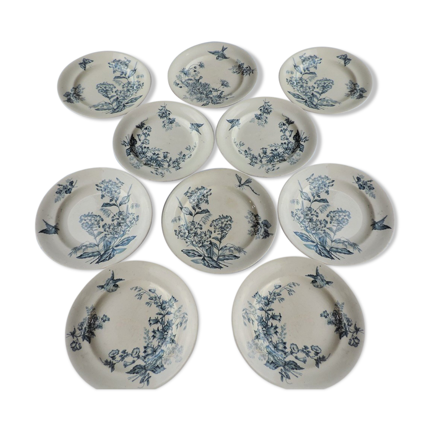 Lot de dix assiettes en Longwy , décor Botanique
