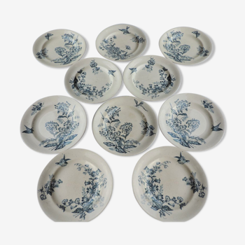 Set of ten plates in Longwy, botanical décor