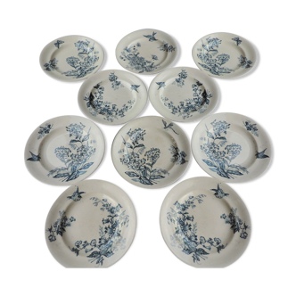 Set of ten plates in Longwy, botanical décor