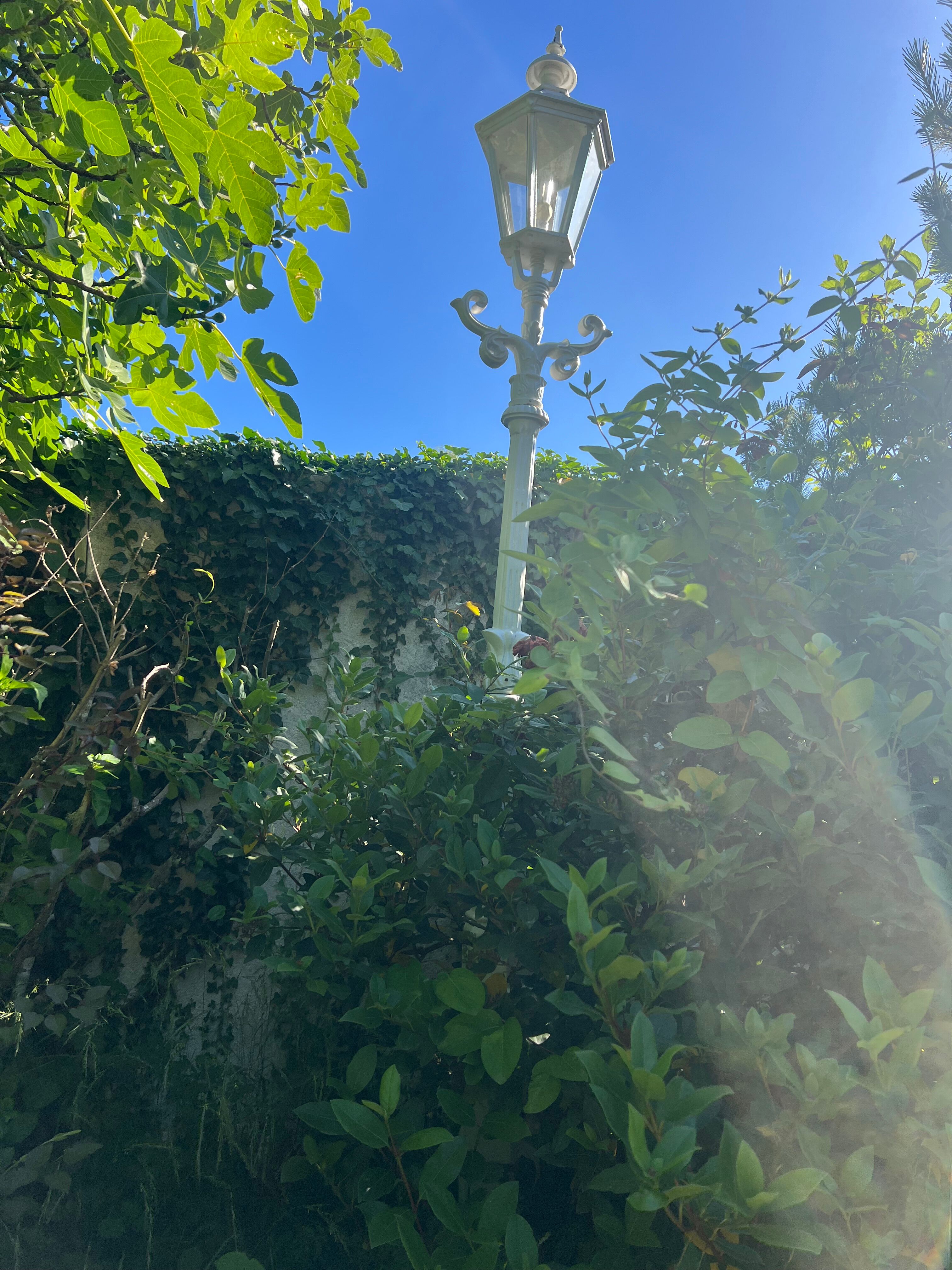 17 lampadaires en fonte