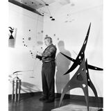 Alexander Calder Lithography