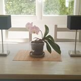 2 touch lamps