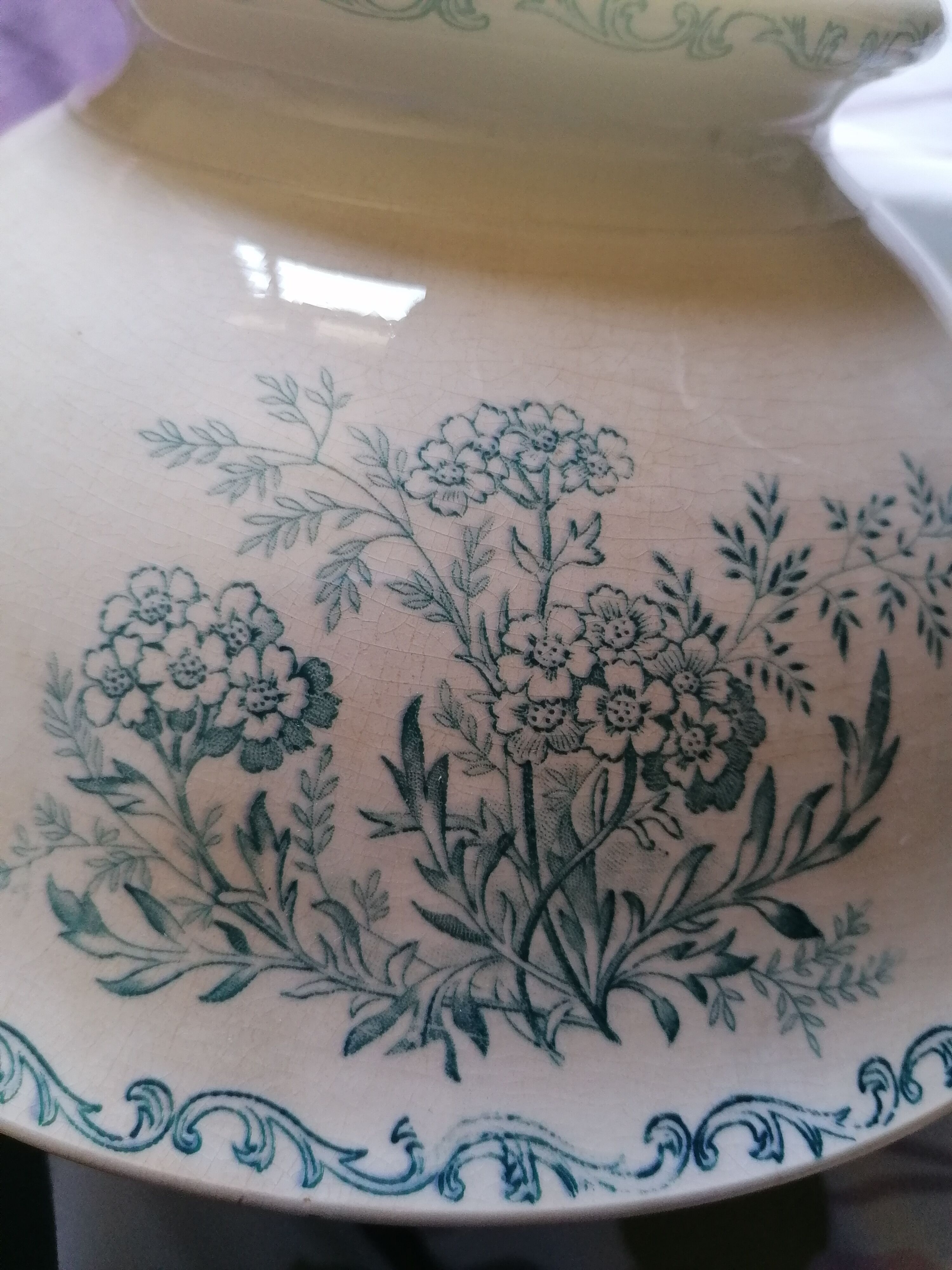 Bowl sarreguemines iron land