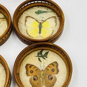 Vintage wooden coaster holder with 6 butterfly coasters.