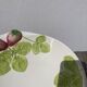 Ceramic fruit slip salad bowl