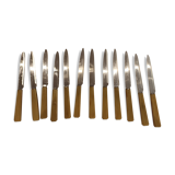 Box of 12 dessert knives