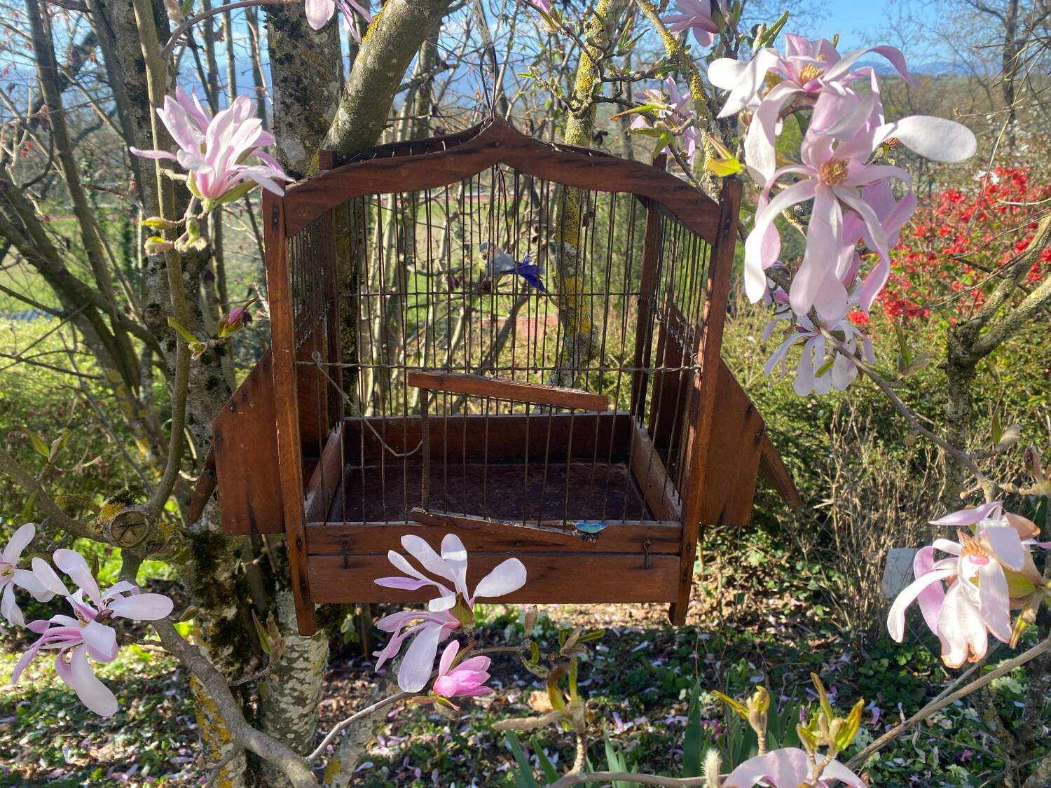 Antique wooden birdcage
