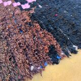 Tapis Blarosa