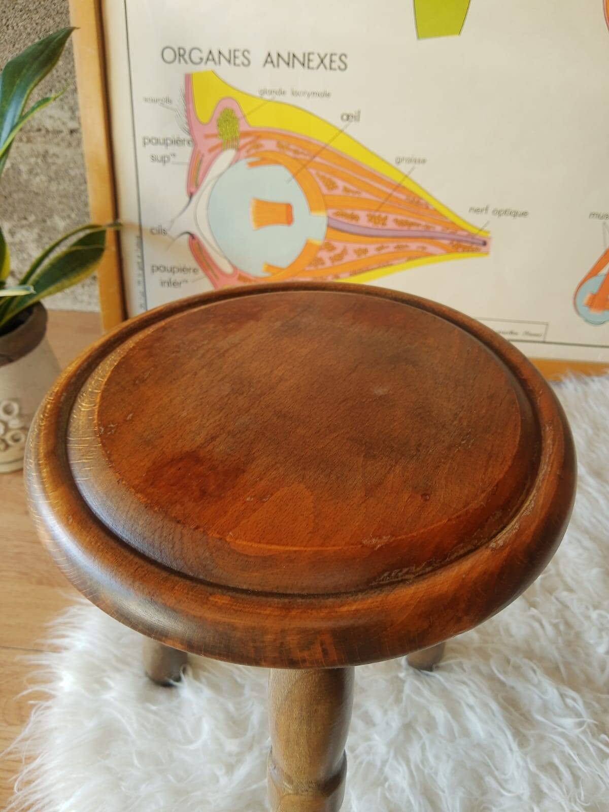 Ancien tabouret de ferme, campagne en bois tripode