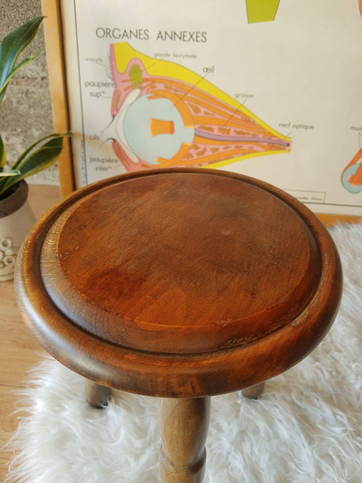 Ancien tabouret de ferme, campagne en bois tripode