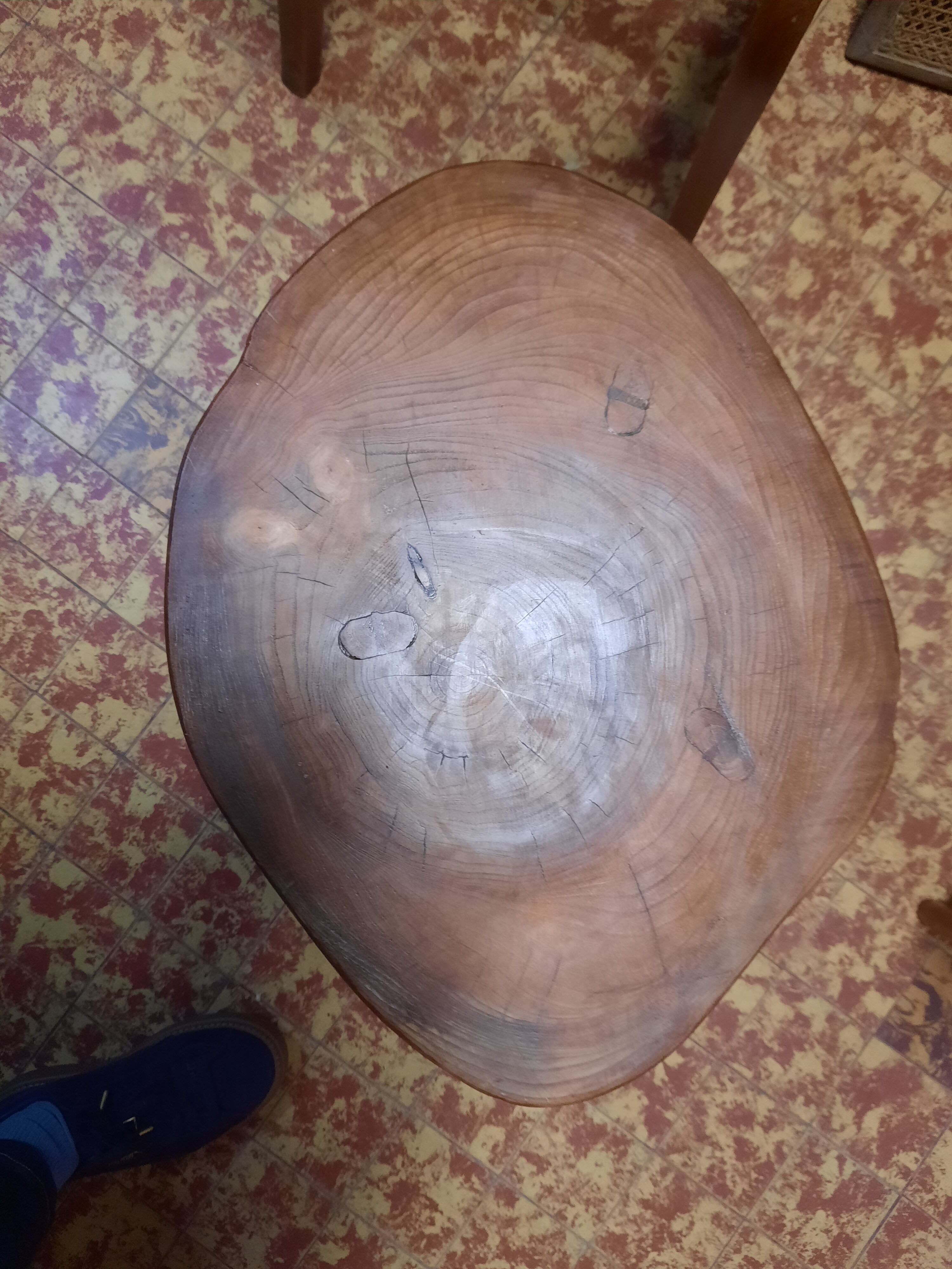 Tree trunk coffee table