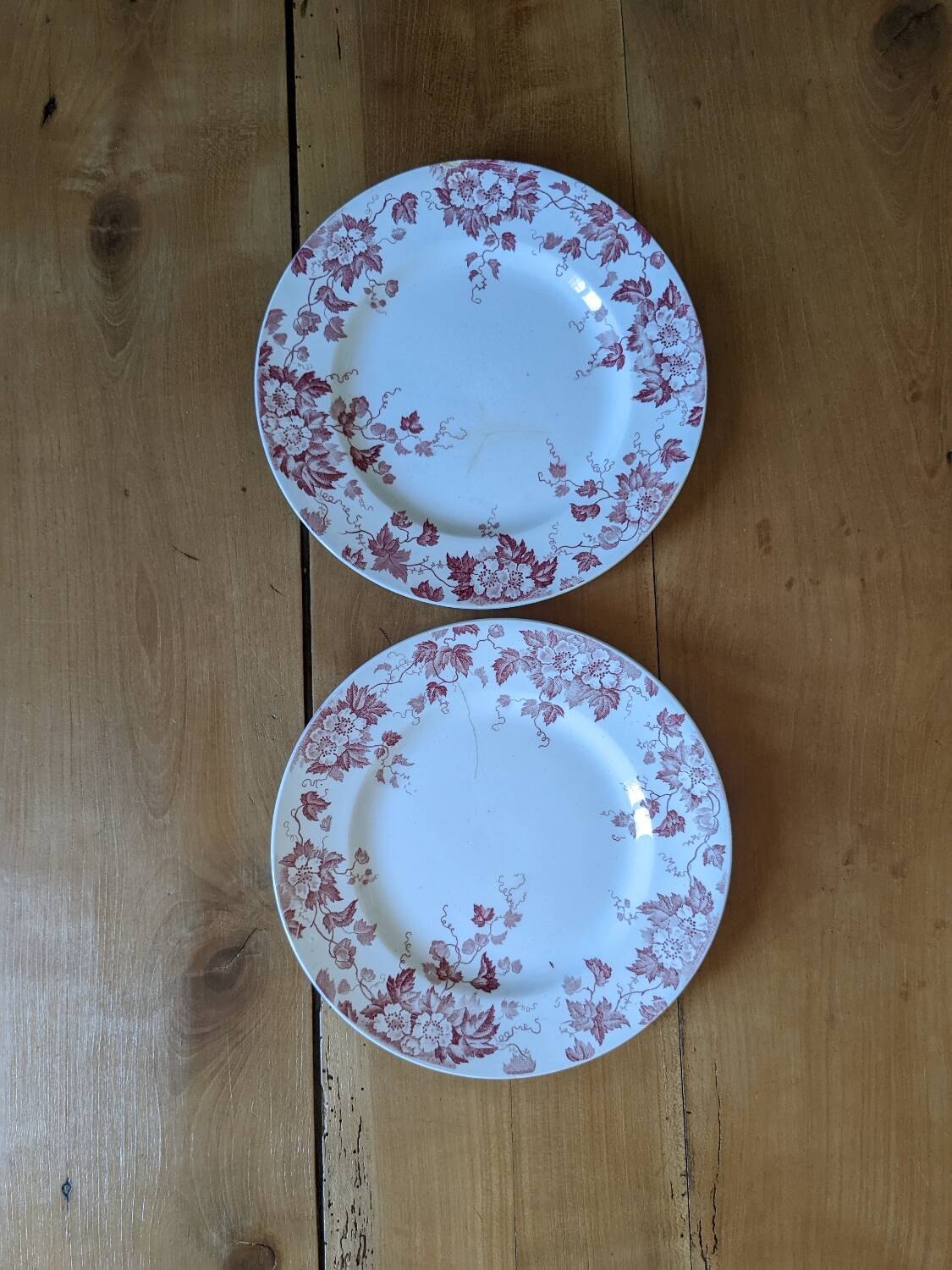 Assiettes Marion Saint Amand
