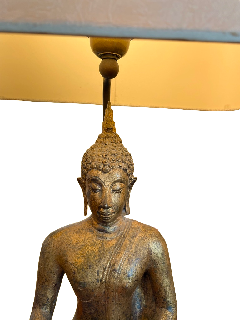 Pair of lamps extreme-orient