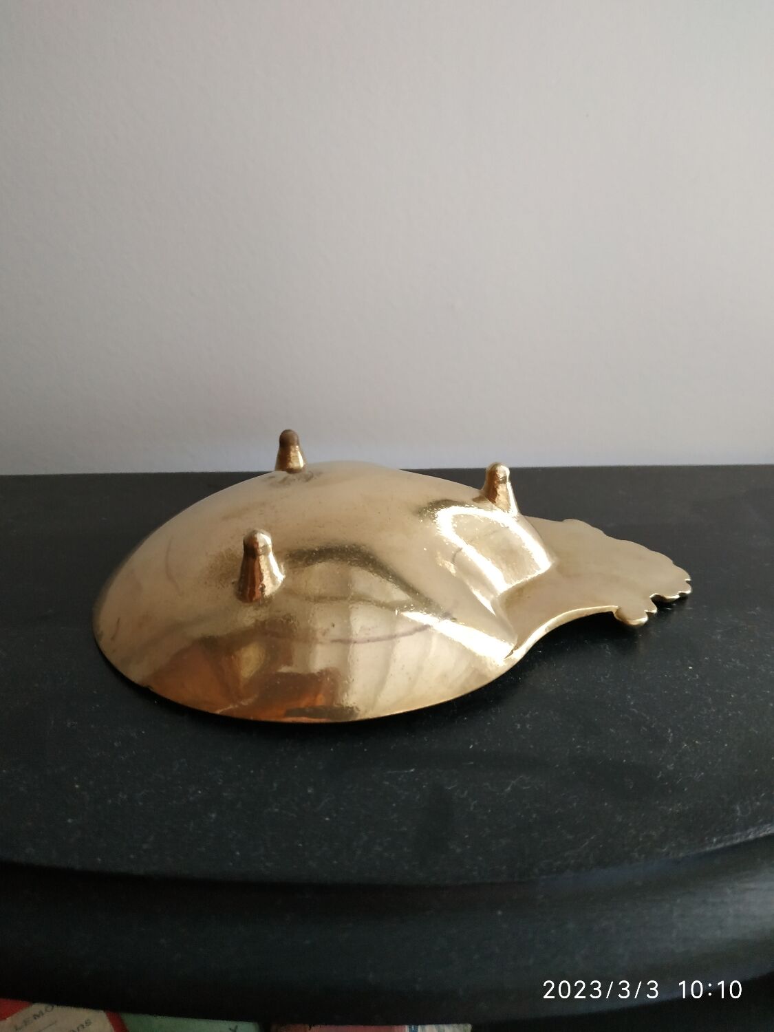 Empty brass pocket