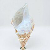 Cabinet of Curiosities: Triton Shell on a wooden base, late 19th century