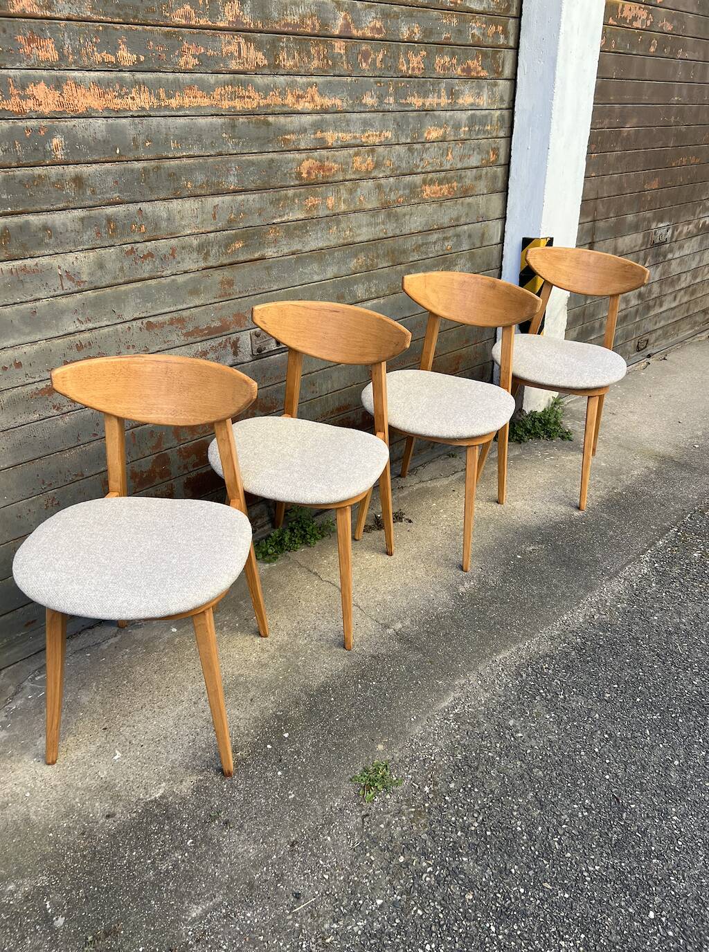 (Lot) 4 chaises Baumann Fontania (restaurées) 1960
