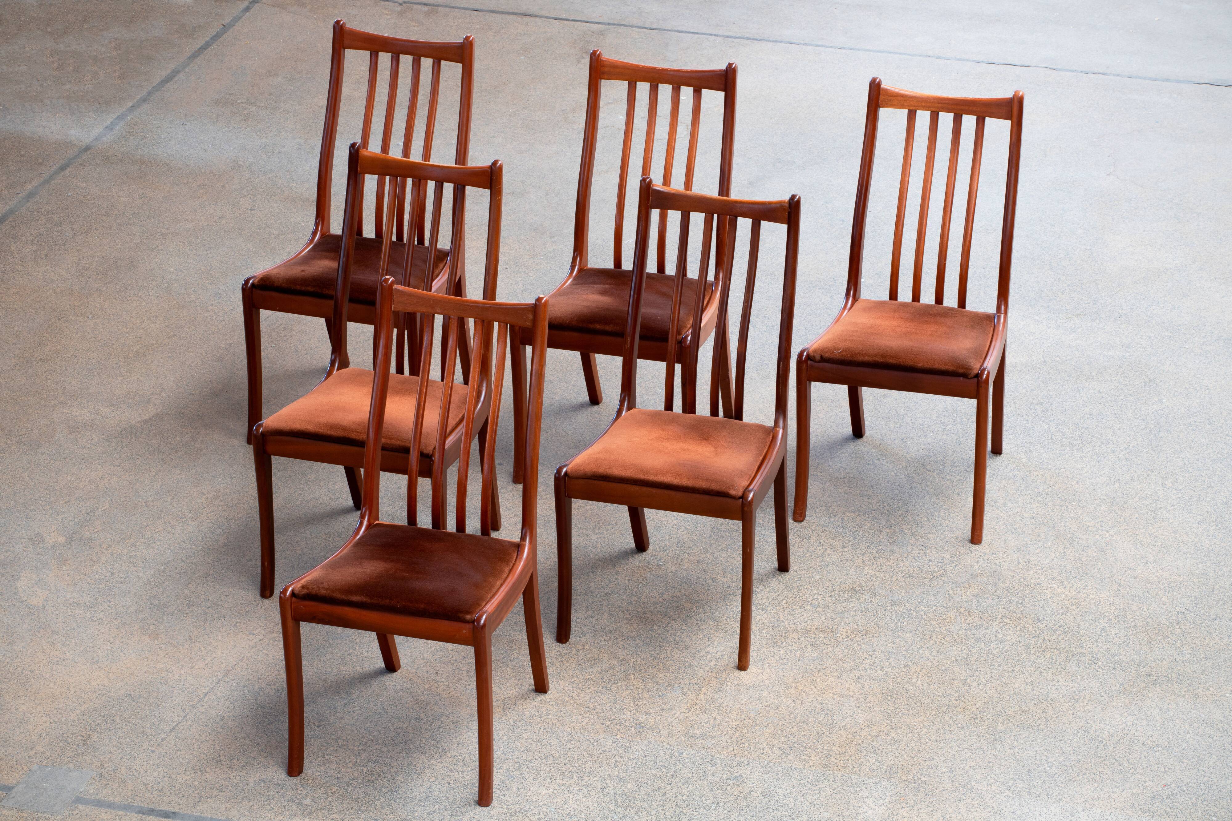 Series of 6 scandinavian chairs