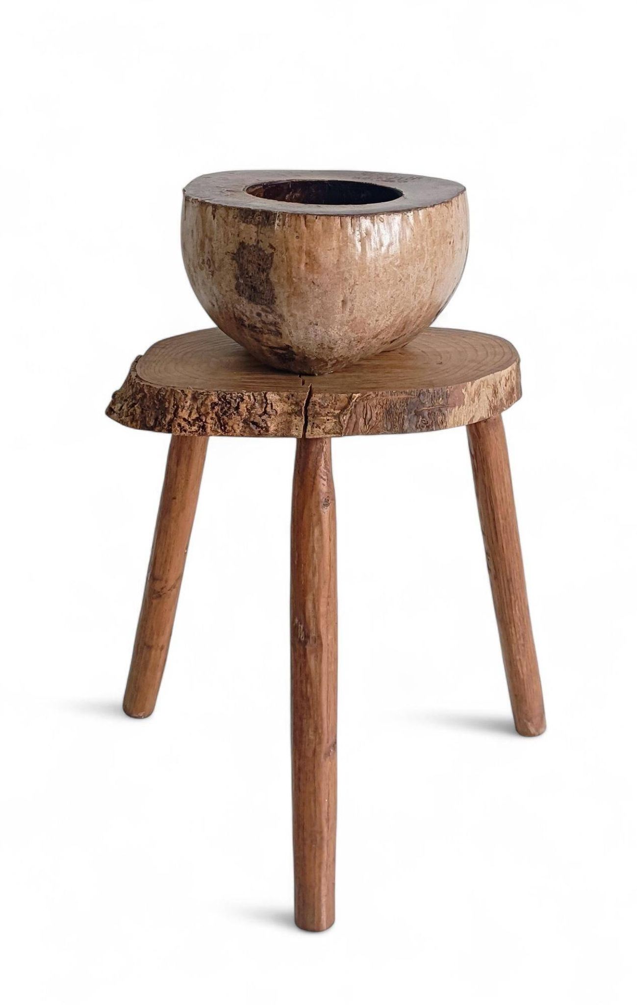 Centre de table Wabi Sabi moderne organique Coco de Mer, sculpté à la main, 19e siècle.