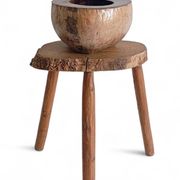 Centre de table Wabi Sabi moderne organique Coco de Mer, sculpté à la main, 19e siècle.