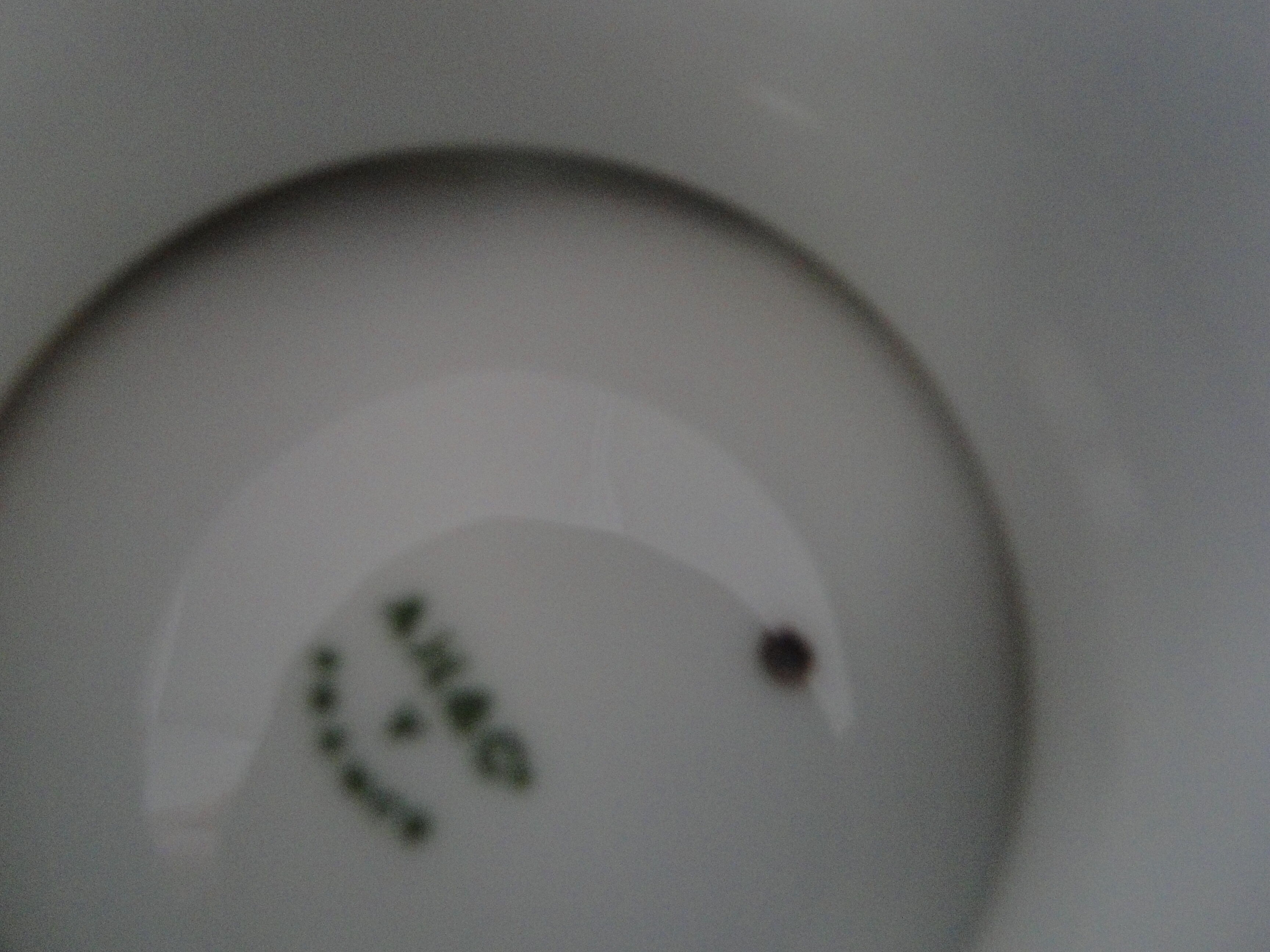 Foot cut hard porcelain shower A.Hache & Cie V France art nouveau bird blue flowers