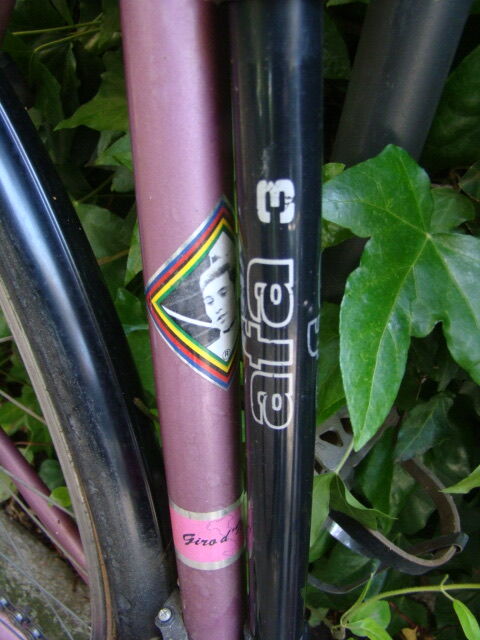 Vintage Eddy Merckx Bike Race