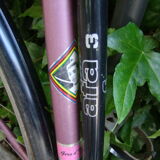 Vintage Eddy Merckx Bike Race