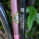 Vintage Eddy Merckx Bike Race