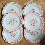 Set 6 flat plates Red and orange flowers