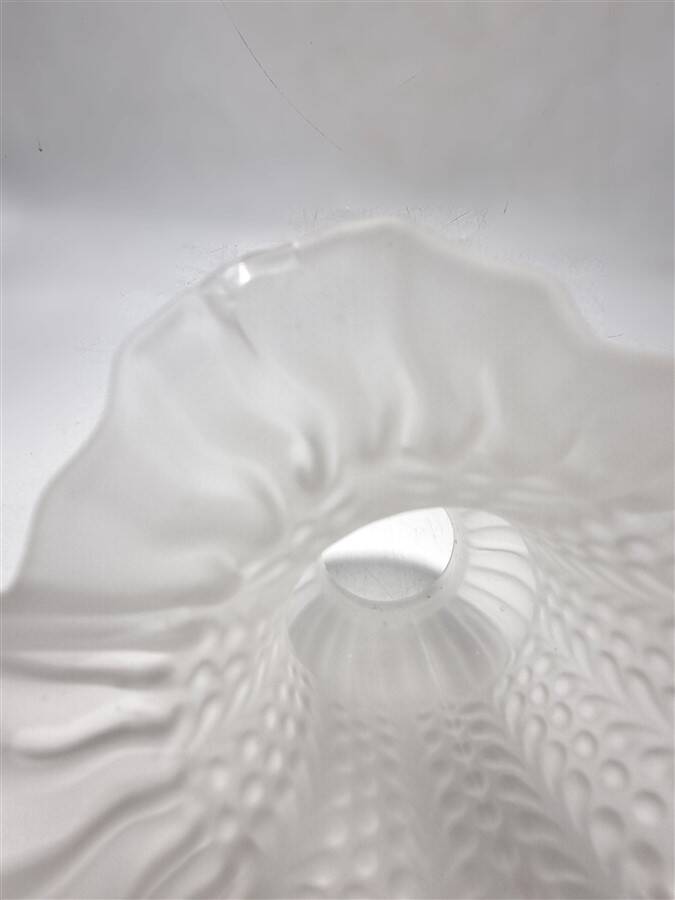 Glass tulip