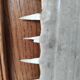 Sawfish rostrum