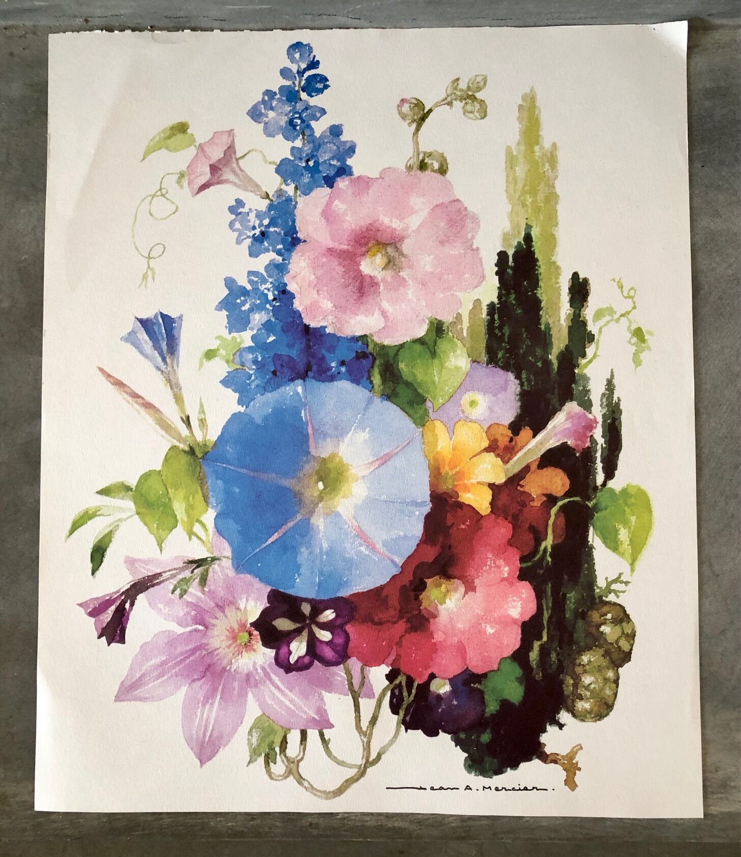 Watercolor on paper Bouquet bleu J.A Mercier, repro