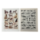 Réservé Julia - 2 planches illustrées sur les chiens