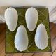 Antique porcelain cups scallops