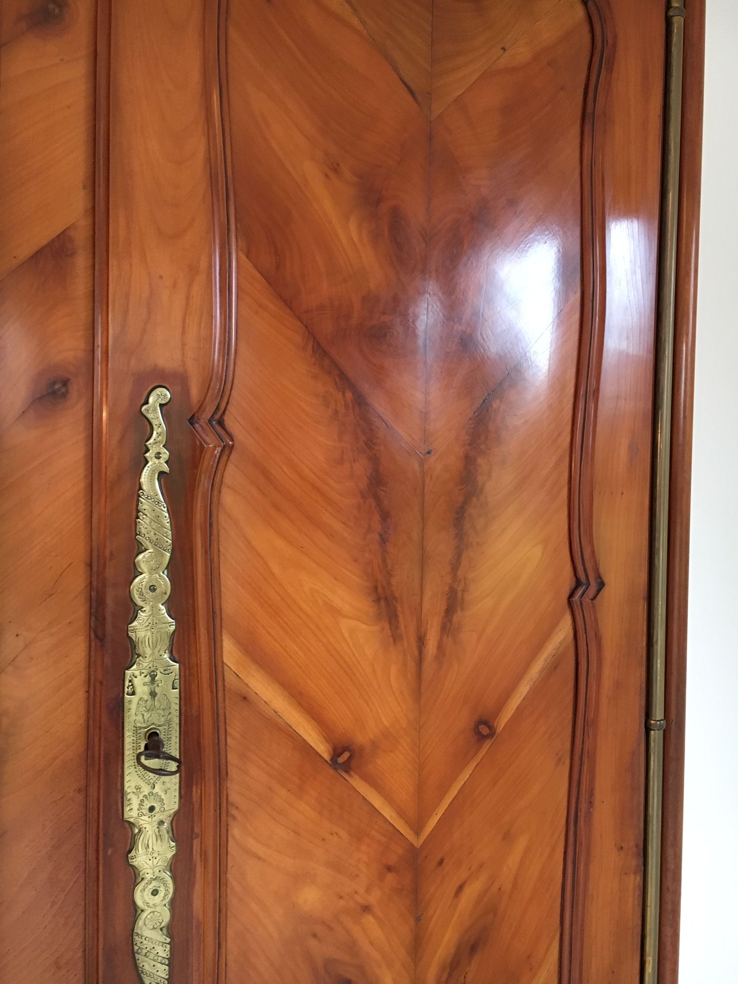 Mid-19th century cabinet of ferns in cherry and chestnut