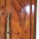 Mid-19th century cabinet of ferns in cherry and chestnut