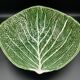 Large Salad Bowl Barbotine Cabbage Leaf - Portugal Vintage P.777A