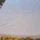 Vintage tablecloth printed with tropical and exotic flowers 235 x 142 cm – Years