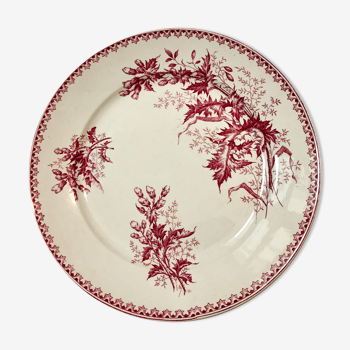 Flat plates thistle pattern