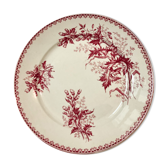Flat plates thistle pattern