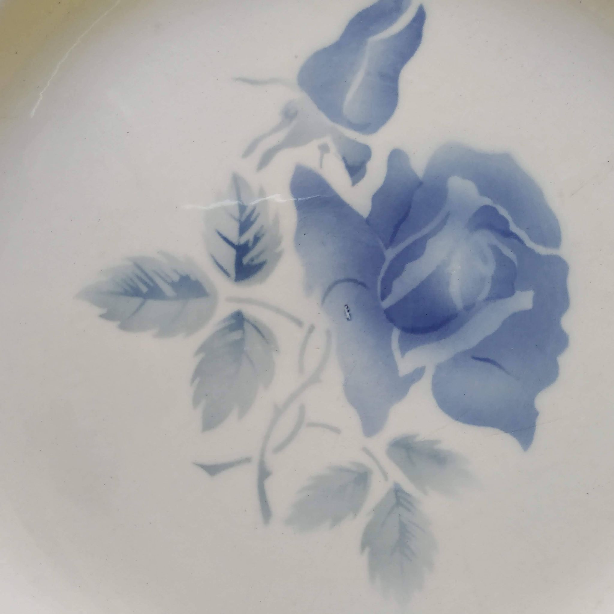Round plate Digoin Sarreguemines Blue roses