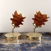 Paire d’appliques murales tulipes ambrées