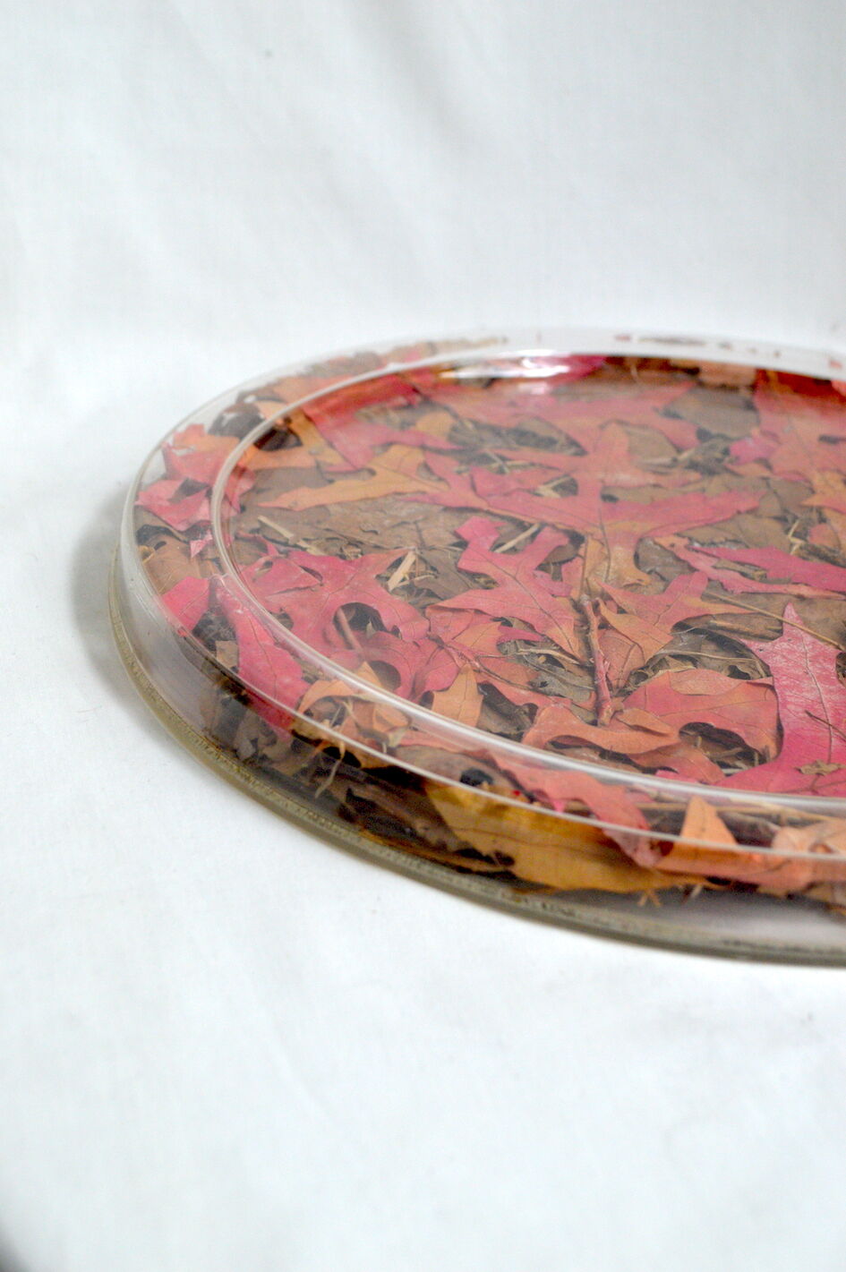 Plateau Christian Dior