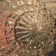 Globe vintage