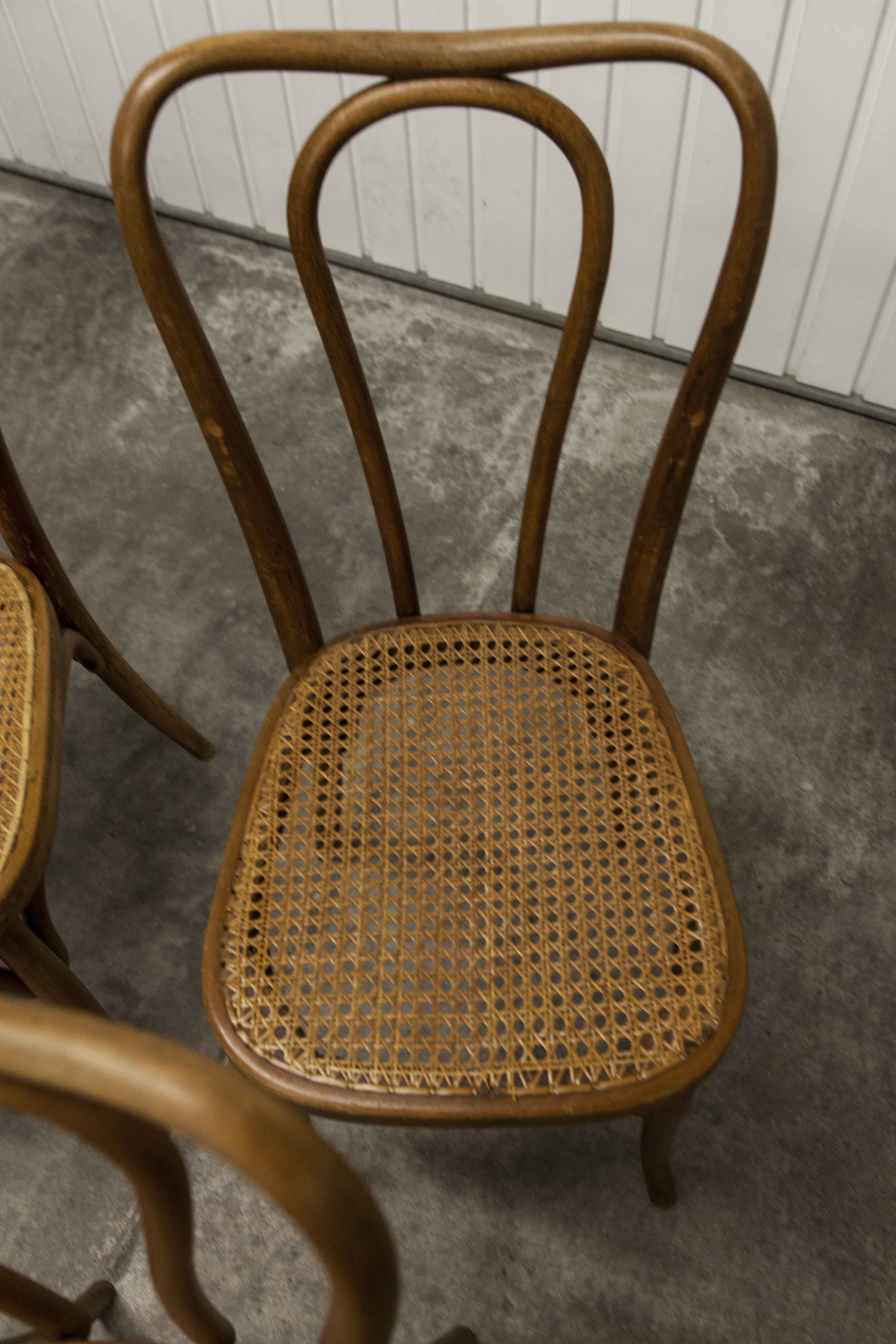 Set of 6 chairs bistro j&j kohn 1900 seat cannage