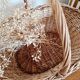Old basket in woven rattan