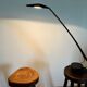 Italiana luce desk lamp Dove model, design Mario Barbaglia and Marco Colombo