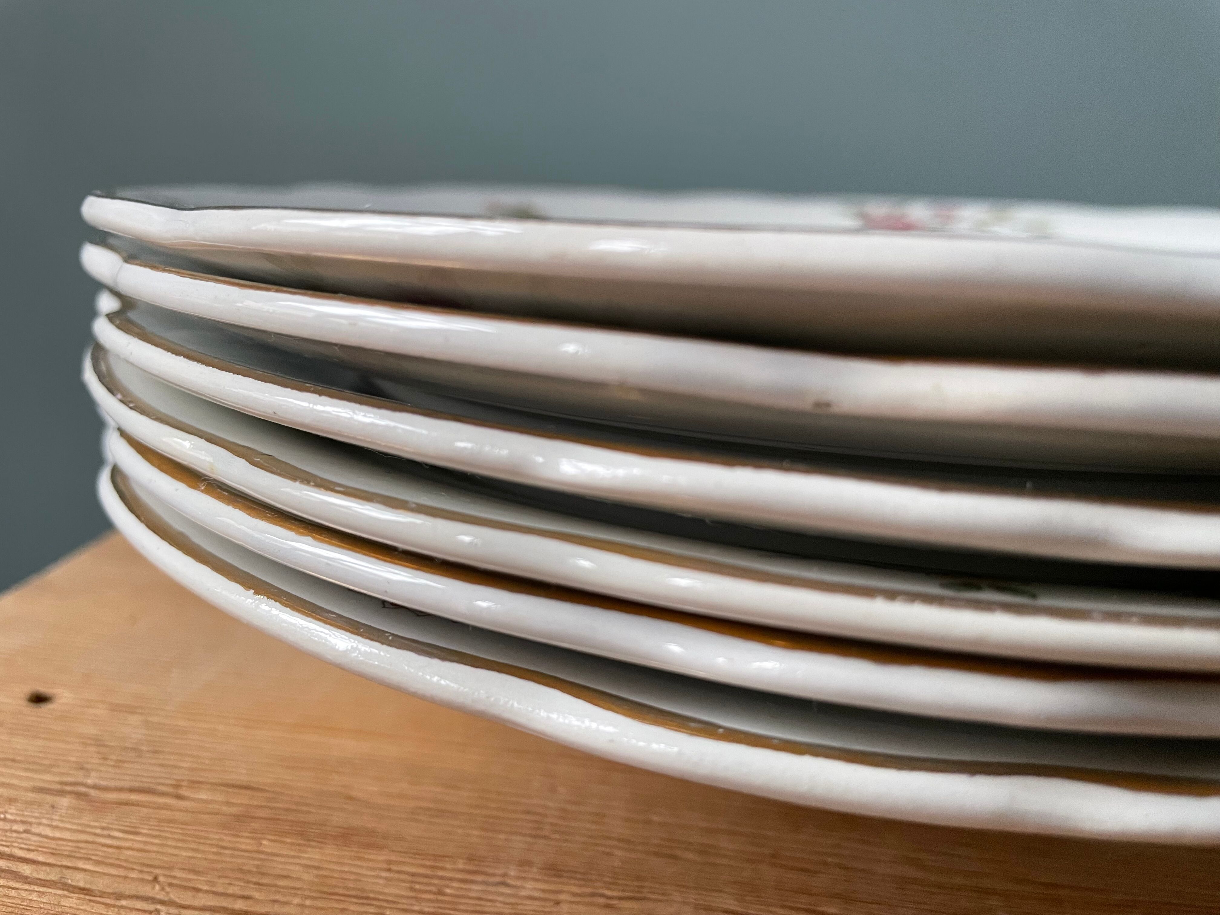 Set of 6 hollow plates Digoin Sarreguemines, Condé model