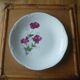 Flat plate gien model elegance